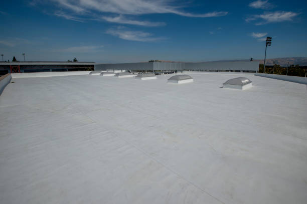 Best Chimney Flashing Repair  in Mckinley, PA