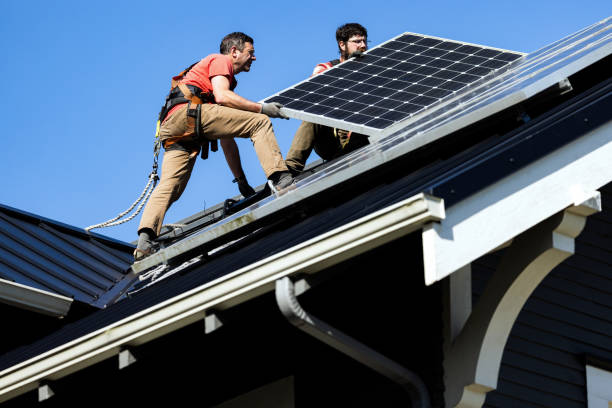Best Roof Moss and Algae Removal  in Mckinley, PA